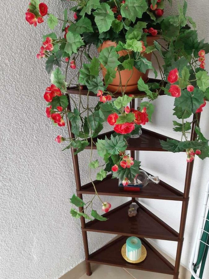 Apartment Duba Senj  Bagian luar foto